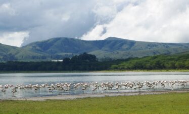 lake Nivasha. Kenya Safaris